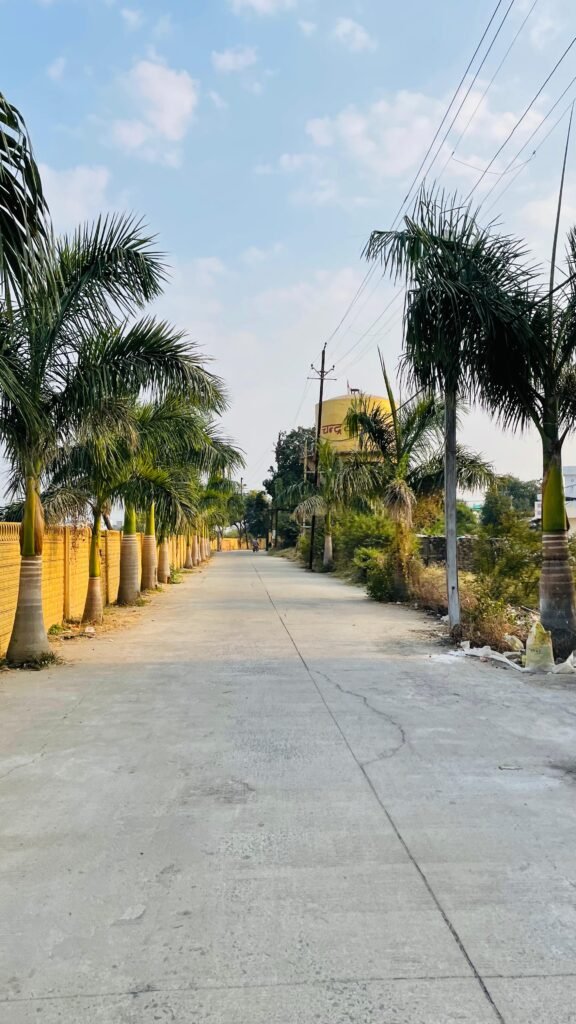 chandra tara road